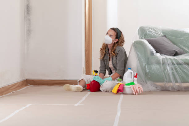 Reliable Mold Inspection contractor in Rockwood, PA by WQB Mold Removal